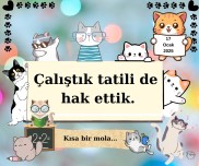 Kedi temalı dijital pano