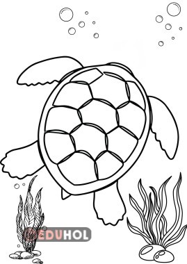 Hayvanları Koruma Günü