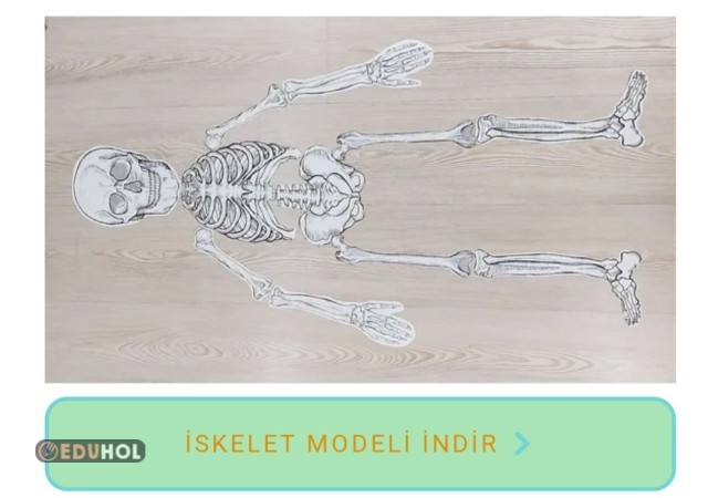 İSKELET MODELİ İNDİR