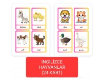 İNGİLİZCE HAYVANLAR (24 KART)
