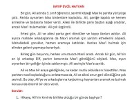 Kayıp Evcil Hayvan 3. sınıf okuma anlama metni