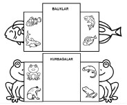 Canlıları Sınıflandırma