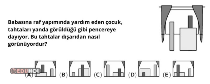 Akıl Yürütme, Mantık vb. 41 Soru