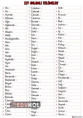 ZIT ANLAMLI KELİME ETKİNLİK