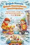 SOKAK HAYVANLARINI UNUTMA