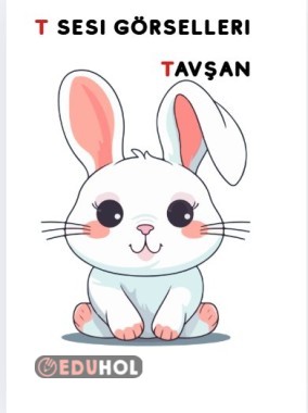 T harfi tahtaya yansıtmalık görseller