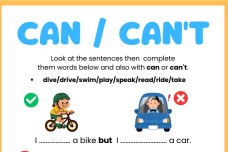 can / can't