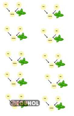 1. Sınıf nane defter etkinliği