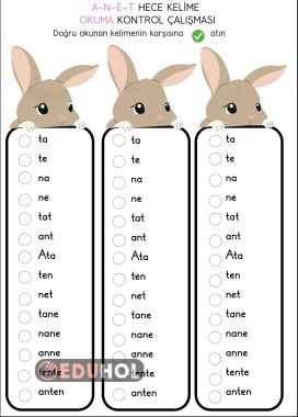 A,N,E,T hece okuma kontrol çalışması