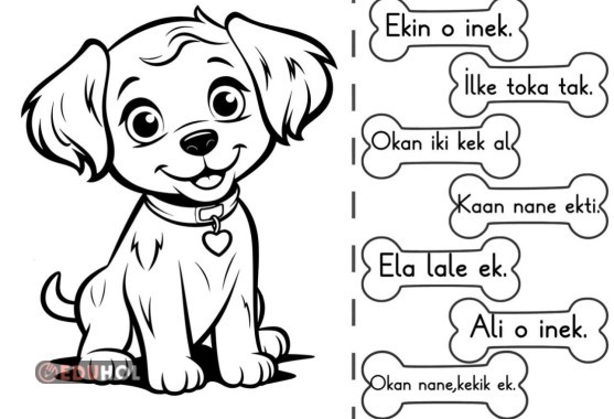 O sesi cümle etkinlik