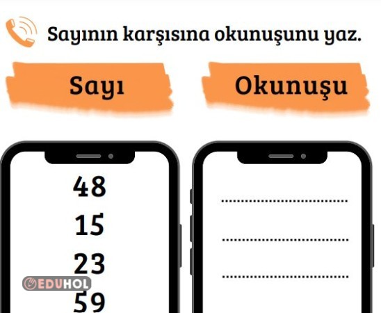 sayıların okunuşunu yazma