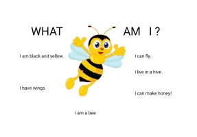 7.4.wild animals (what am i?)