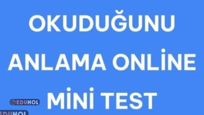 OKUDUĞUNU ANLAMA MİNİ TEST/ NASIL HİSSEDİYORUM