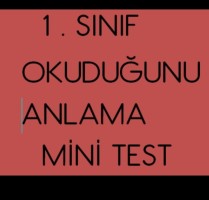 OKUDUĞUNU ANLAMA MİNİ TEST
