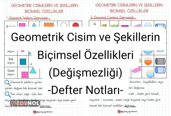 Geometrik Cisim ve Şekillerin Değişmezlikleri(Biçimsel Özellikleri)