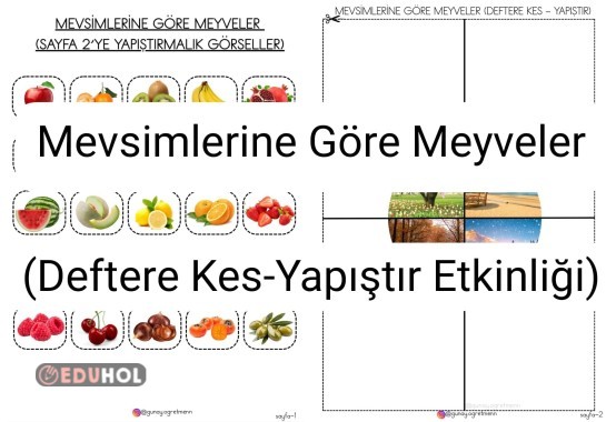 Mevsimlerine Göre MEYVELER(Kes-Yapıştır)