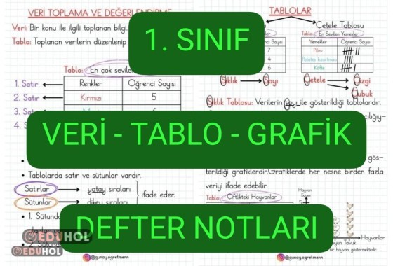 Veri-Tablo-Grafik DEFTER NOTLARI
