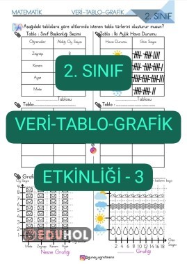 Veri-Tablo-Grafik Etkinliği-3