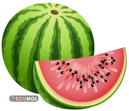 sağlıklı yiyecekler yeşil vatan