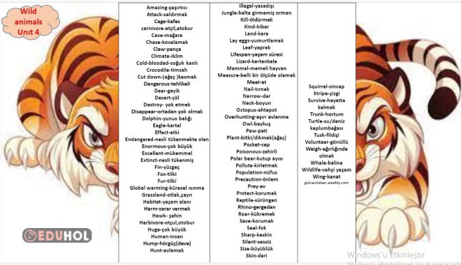 wild animals 7.4 words