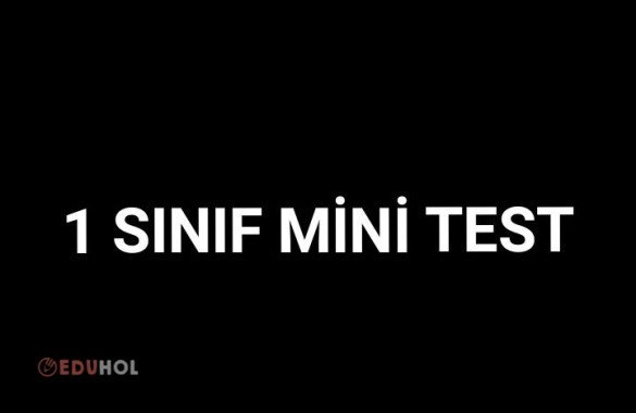 1.SINIF MİNİ TEST