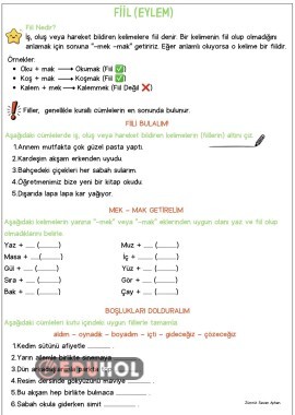 Fiiller anlatımı ve sorular
