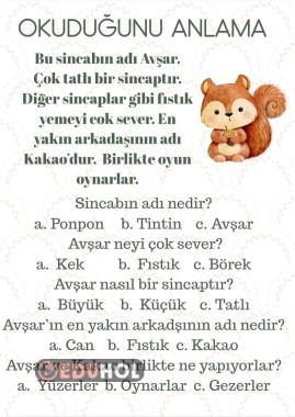 okuduğunu anlama...