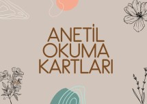 anetil okuma kartları