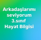 Arkadaşlarımı seviyorum