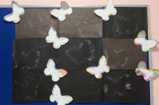 Gölge çalışması