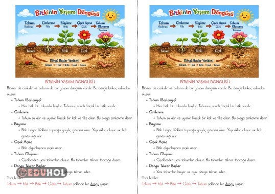 Bitkinin Yaşam Döngüsü Defter Notu