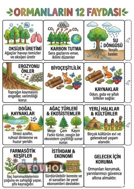 Ormanların Faydaları Katlamalı Etkinlik