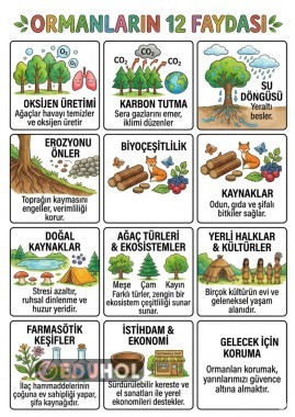 Ormanların Faydaları Renkli Poster (9 A4)