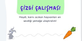 1. sınıf çizgi çalışması