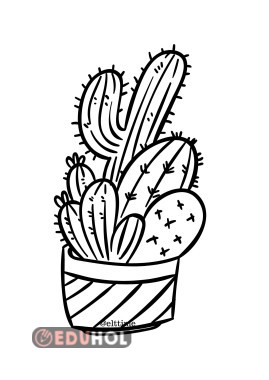 kaktüs boyama