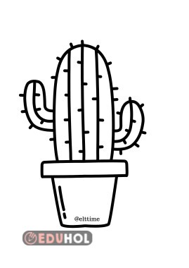 Kaktüs boyama
