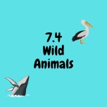 7.4 Wild Animals