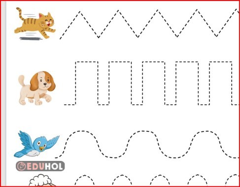 Laminasyonlu Çizgi Çalışması