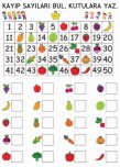 KAYIP SAYILARI BULMA