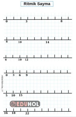 sayı doğrusu
