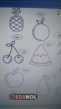 meyveleri boya kelimeleri oku.