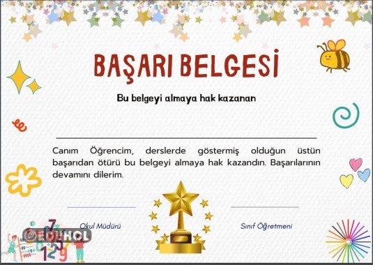 BAŞARI BELGESİ