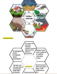 Doğal Afetler İnteraktif Çalışma