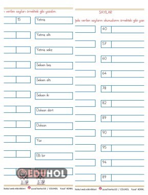 SAYILAR VE OKUNUŞLARI