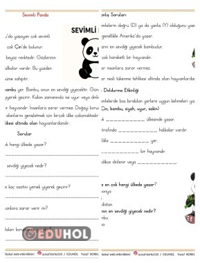 SEVİMLİ PANDA OKUMA ANLAMA VE DEĞERLENDİRME ETKİNLİĞİ
