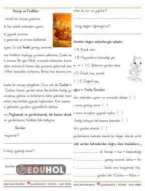 ''SİNCAP VE FINDIKLAR'' OKUMA  ANLAMA VE DEĞERLENDİRME ETKİNLİĞİ