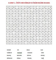 MEVSİMLER VE İKLİM