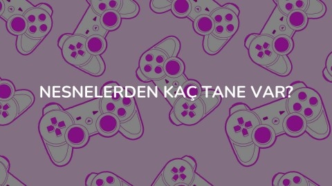 NESNELERDEN KAÇ TANE VAR?