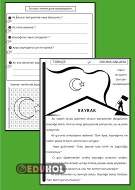 BAYRAK SEVGİSİ OKUMA ANLAMA ÇALIŞMA KAĞIDI
