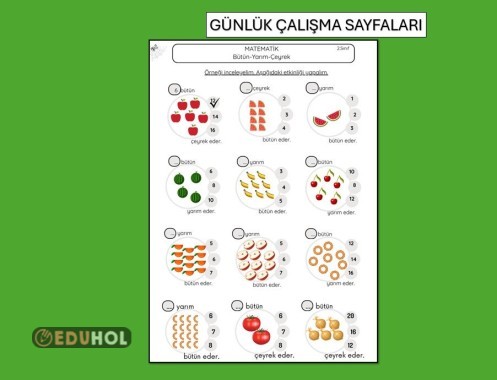 BÜTÜN-YARIM-ÇEYREK, KESİR ÇALIŞMA KAĞIDI